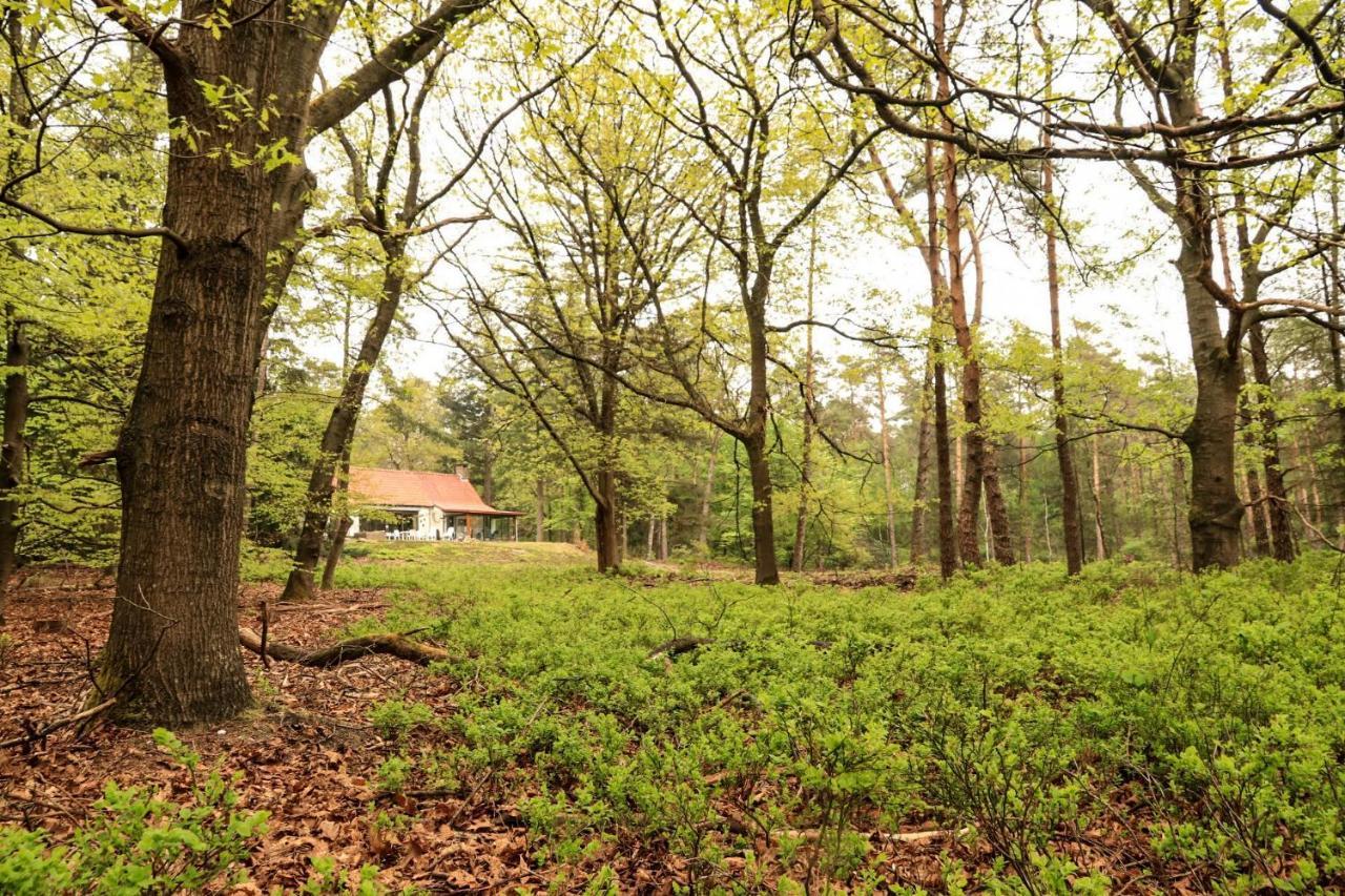 Vakantiehuis De Weeser Enk Epe Exterior foto